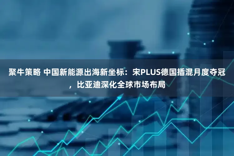聚牛策略 中国新能源出海新坐标：宋PLUS德国插混月度夺冠，比亚迪深化全球市场布局