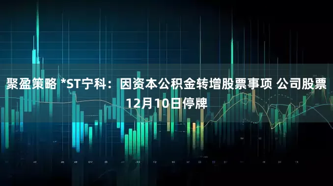 聚盈策略 *ST宁科：因资本公积金转增股票事项 公司股票12月10日停牌