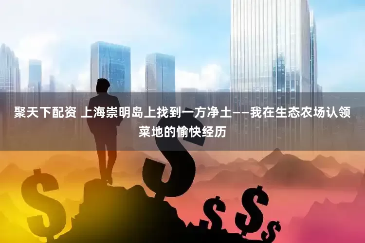 聚天下配资 上海崇明岛上找到一方净土——我在生态农场认领菜地的愉快经历